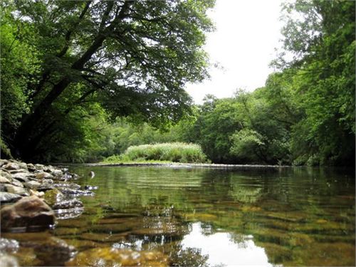 A tranquil setting by the River Lynher