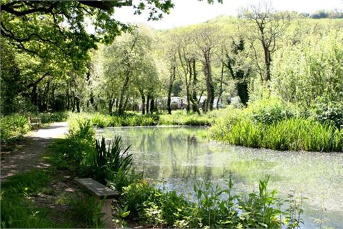 A wood walk by the fishing lake