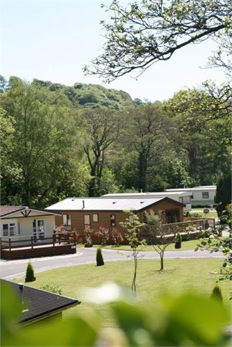 Luxury holiday lodges set in landscaped ground and woodlands