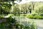 A wood walk by the fishing lake